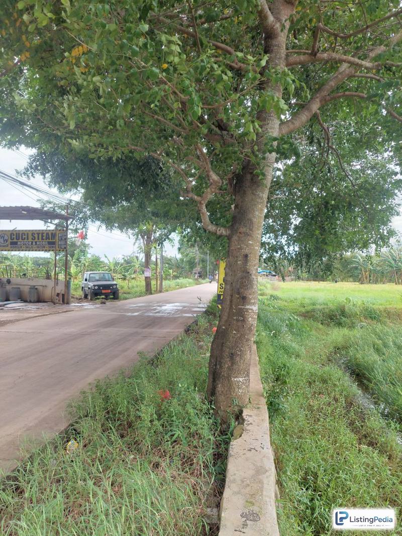 Dijual Tanah Datar dan Sawah Setu Bekasi — foto 5