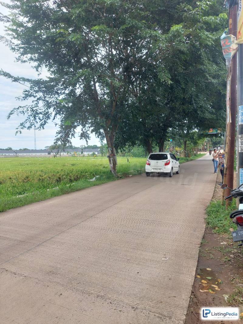 Dijual Tanah Datar dan Sawah Setu Bekasi — foto 3