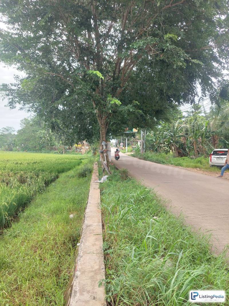 Dijual Tanah Datar dan Sawah Setu Bekasi — foto 4