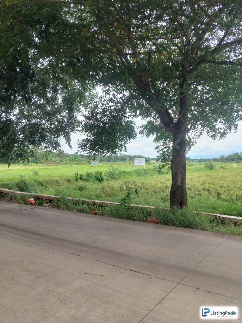 Dijual Tanah Datar dan Sawah Setu Bekasi — foto 1
