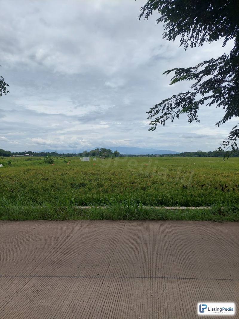 Dijual Tanah Datar dan Sawah Setu Bekasi — foto 2