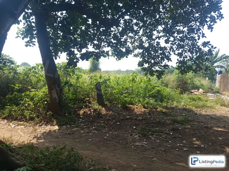 Jual Cepat Tanah Strategis — foto 4