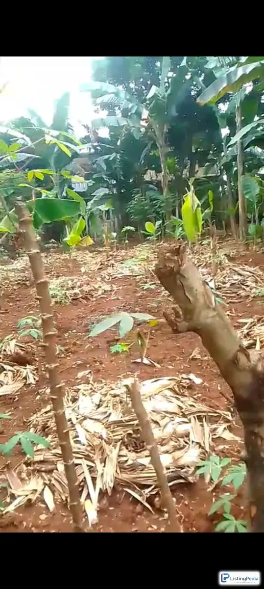 Dijual Lahan Kosong Cipedak Jagakarsa Jakarta Selatan — foto 4