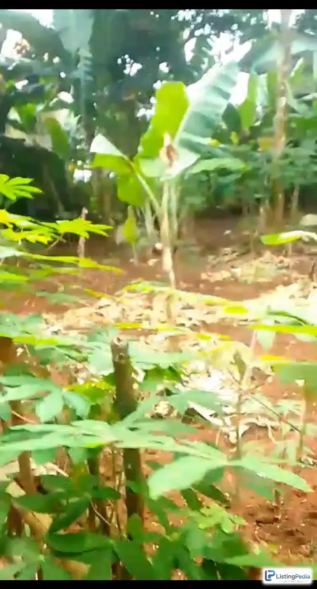 Dijual Lahan Kosong Cipedak Jagakarsa Jakarta Selatan — foto 2