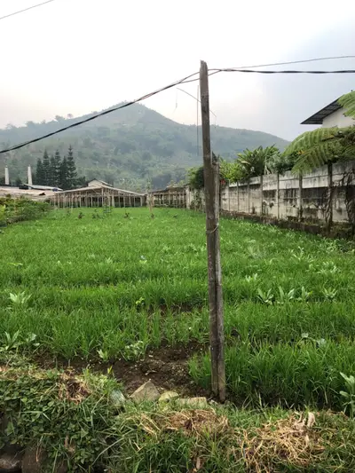 Tanah kavling dengan view pegunungan di Cianjur