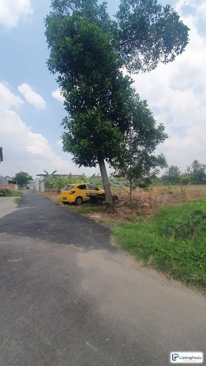Tanah Murah di Rajabasa Jaya Bandar Lampung — foto 5