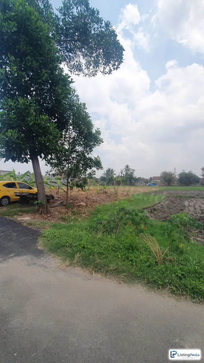 Tanah Murah di Rajabasa Jaya Bandar Lampung — foto 3