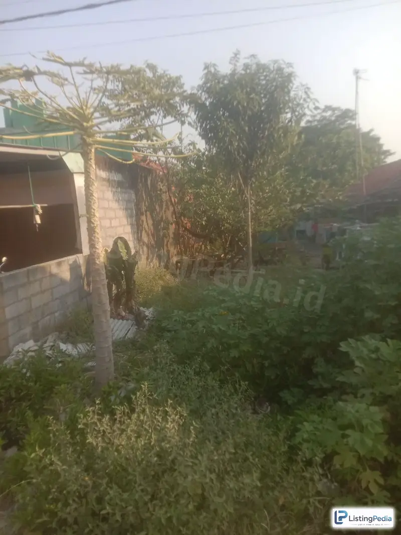 Lahan Perkampungan Desa Cimahi Kab. Karawang — foto 5