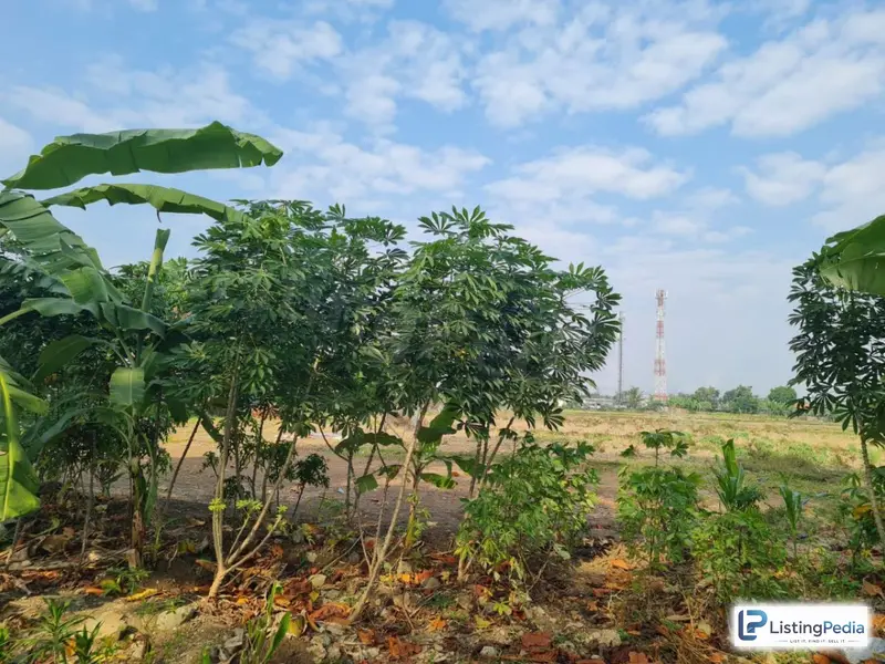 Dijual Tanah Sebrang Pt Pindo Deli Pulp — foto 2