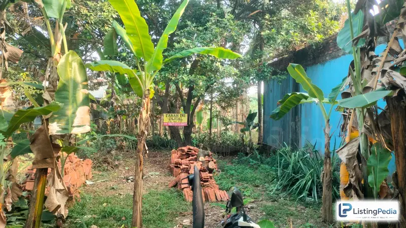 Tanah Kebun 571 M² di Gunung Sindur – Bogor — foto 3