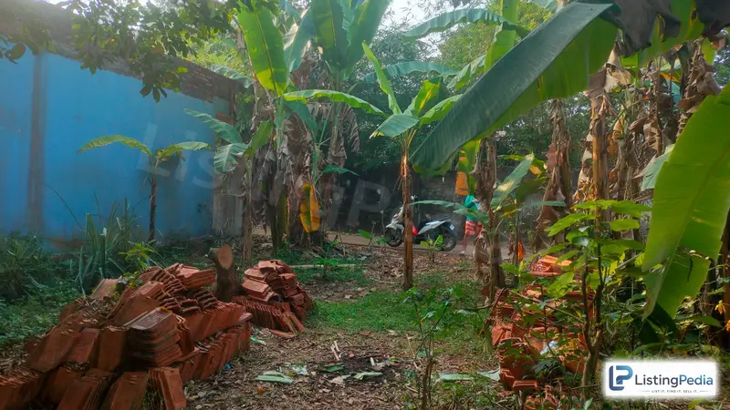 Tanah Kebun 571 M² di Gunung Sindur – Bogor — foto 1