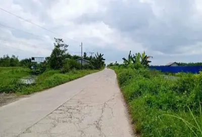 Tanah kosong di rasau Jaya