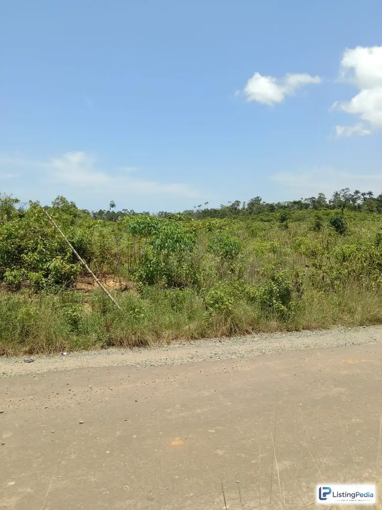 Tanah Kosong Dijual 6 Hektar — foto 1