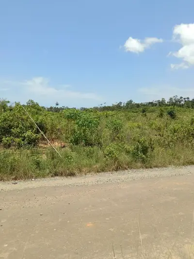 Tanah kosong dijual 6 hektar Kab. Sambas