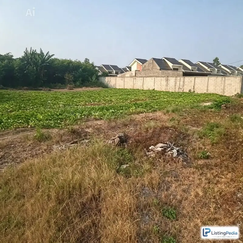 Tanah Murah Dibawah Pasaran di Pinggir Jalan Raya Sepatan — foto 1