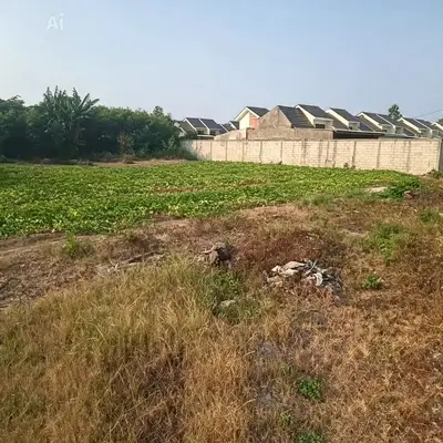 Tanah Murah Dibawah Pasaran di Pinggir Jalan Raya Sepatan