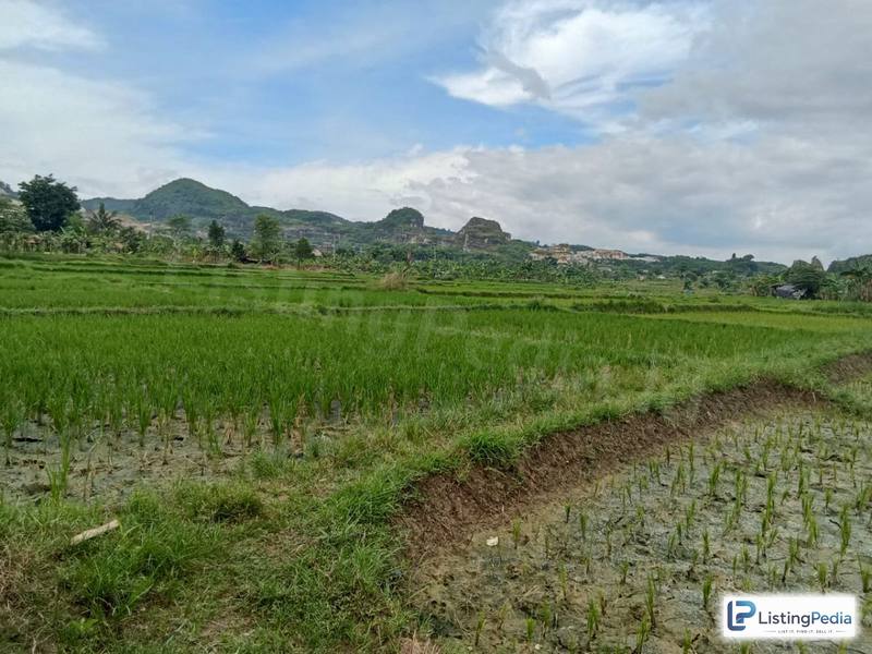 DIJUAL TANAH BAWAH NJOP ZONA INDUSTRI — foto 2