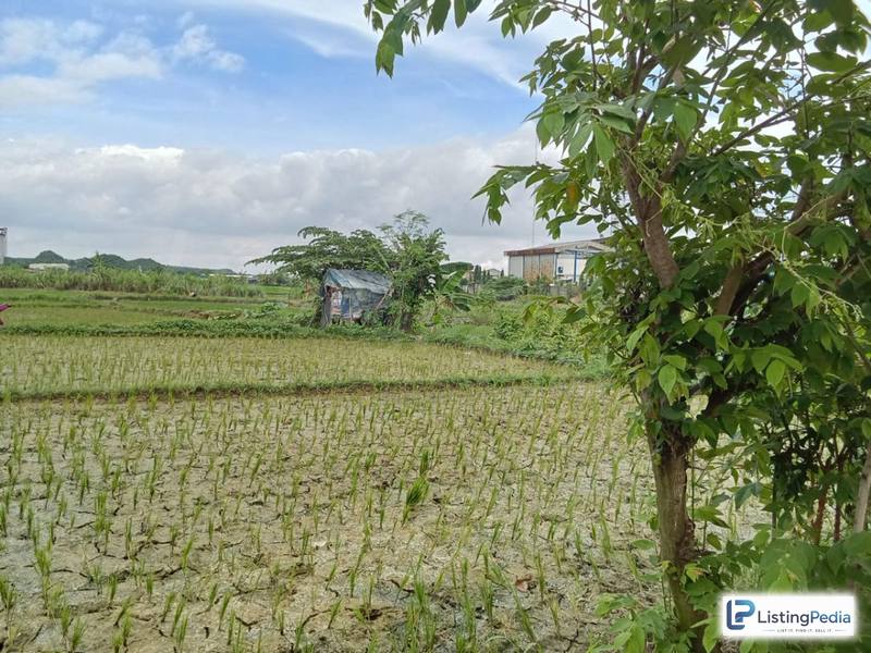 DIJUAL TANAH BAWAH NJOP ZONA INDUSTRI — foto 3
