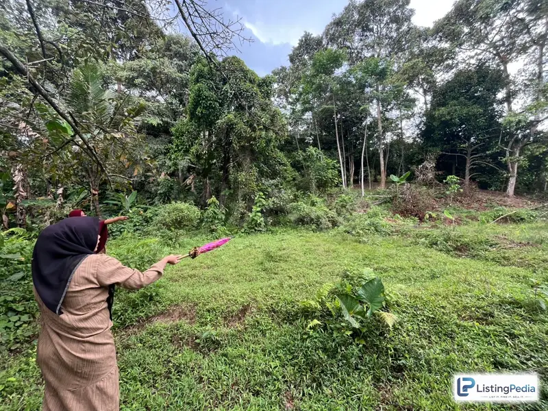 Urgent Siapa Cepat Dia Dapat Tanah 1000 Meter Cuma — foto 3