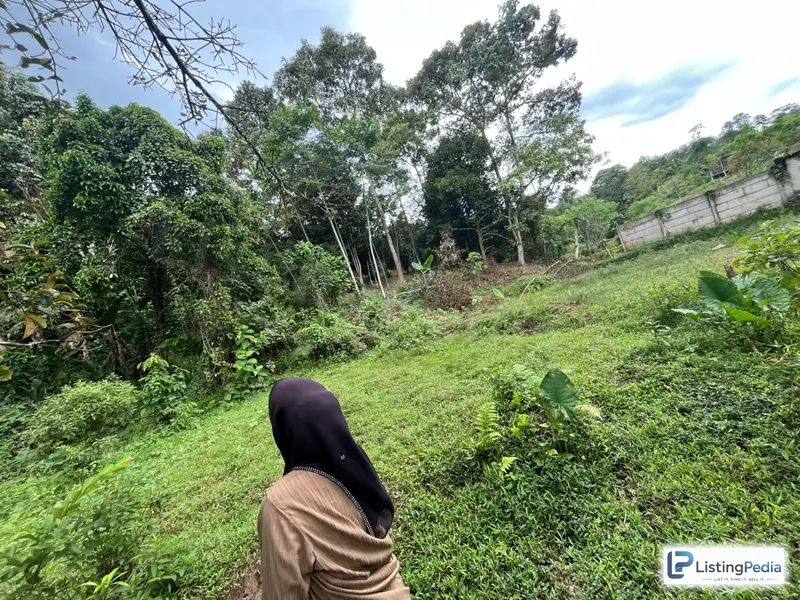 Urgent Siapa Cepat Dia Dapat Tanah 1000 Meter Cuma — foto 1