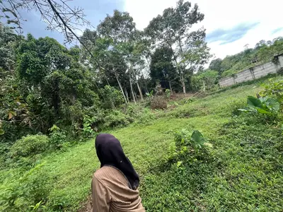 Urgent Siapa Cepat Dia Dapat Tanah 1000 Meter Cuma