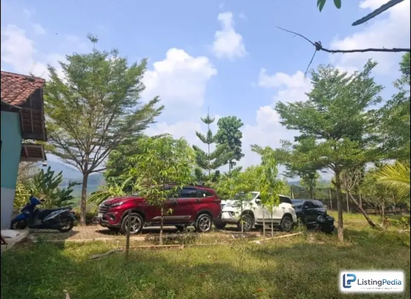 Tanah Kebun — foto 3