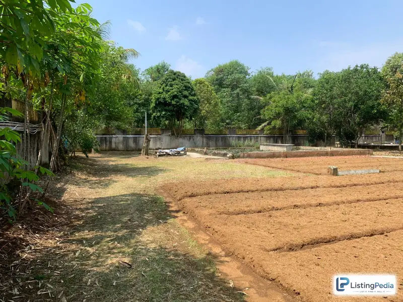 Dijual Tanah Kebun Aktif — foto 3