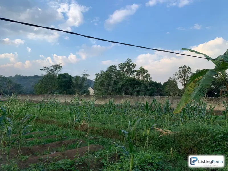 Dijual Tanah Kebun Aktif — foto 4