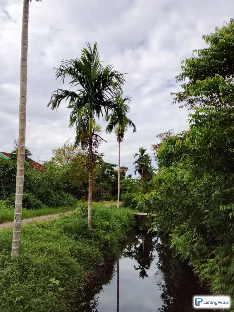 Tanah Kapling Murah Kubu Raya Depan Kantor Bupati Kuburaya — foto 3