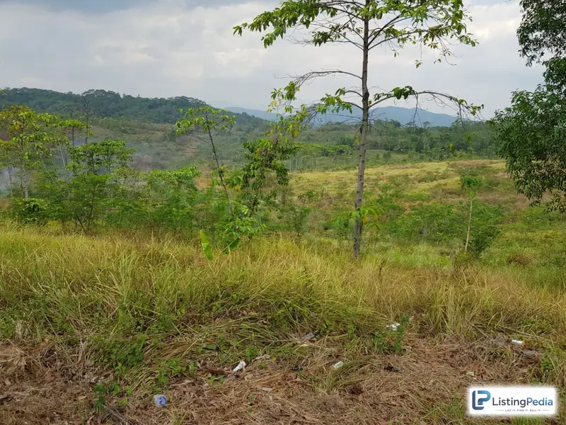 Dijual Lahan Disubang Ciater — foto 3