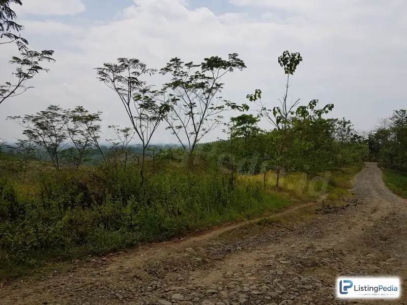 Dijual Lahan Disubang Ciater — foto 2