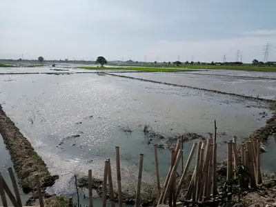 dijual tanah cikarang/bekasi