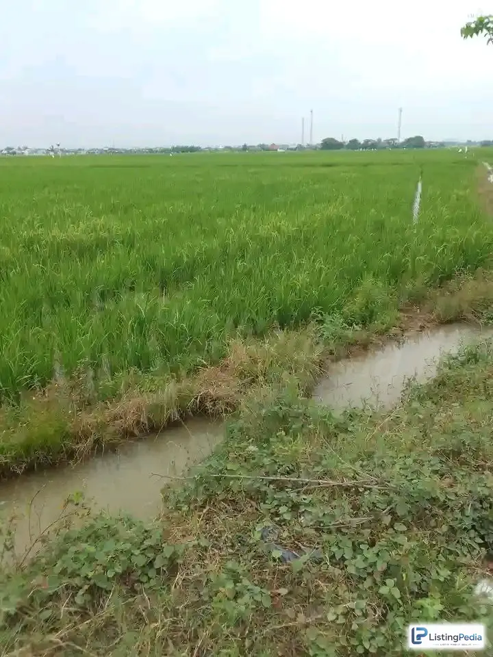 Dijual Tanah Cikarang/bekasi — foto 2