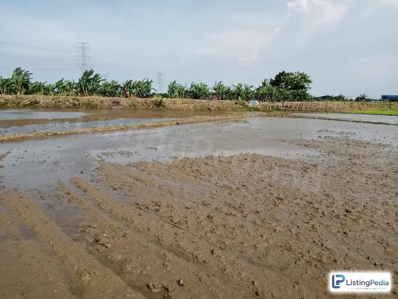 Dijual Tanah Cikarang/bekasi — foto 3