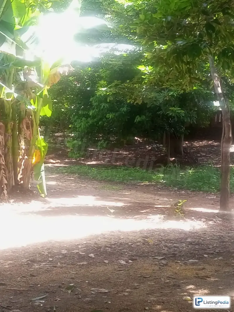 Dijual Tanah Kosong di Cipayung Jakarta Timur — foto 1
