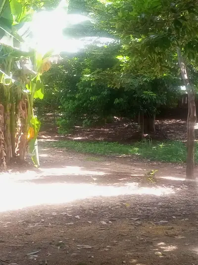 Dijual Tanah Kosong di Cipayung Jakarta Timur