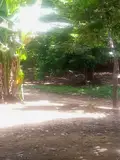 Dijual Tanah Kosong di Cipayung Jakarta Timur