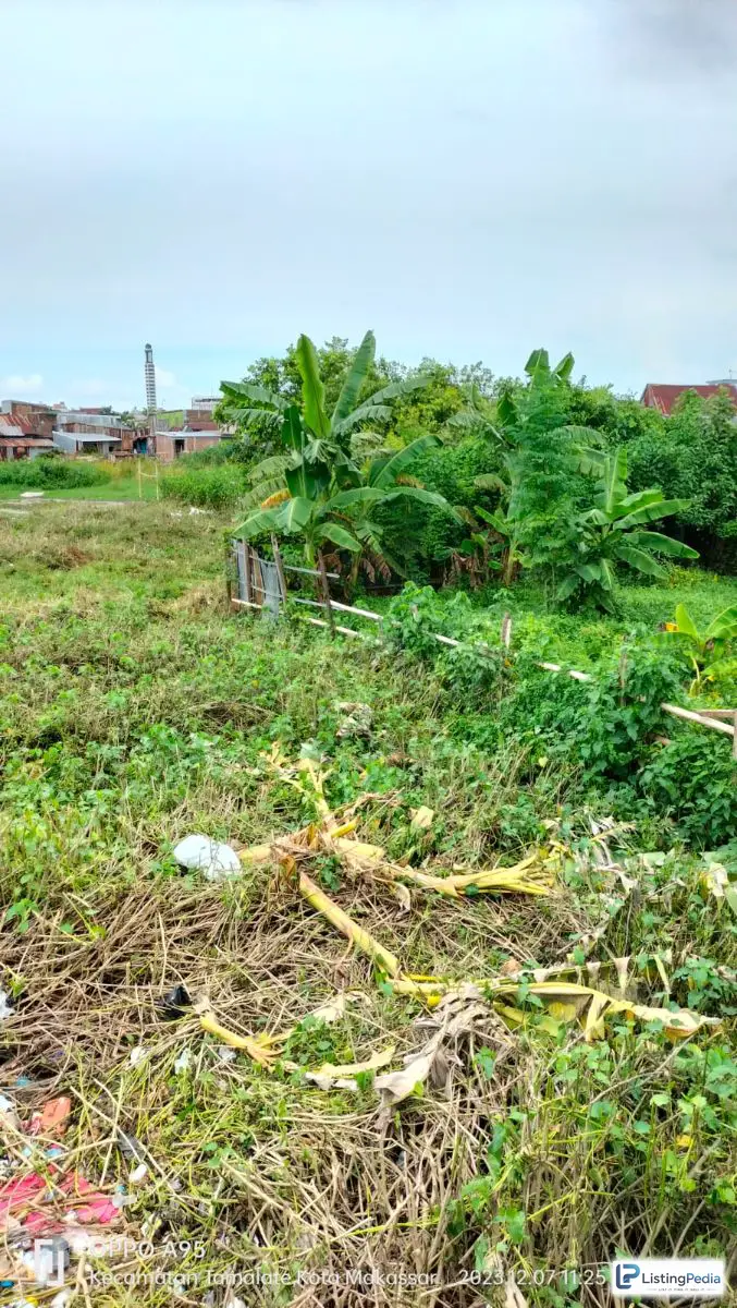 Lahan Tanah Kosong — foto 2