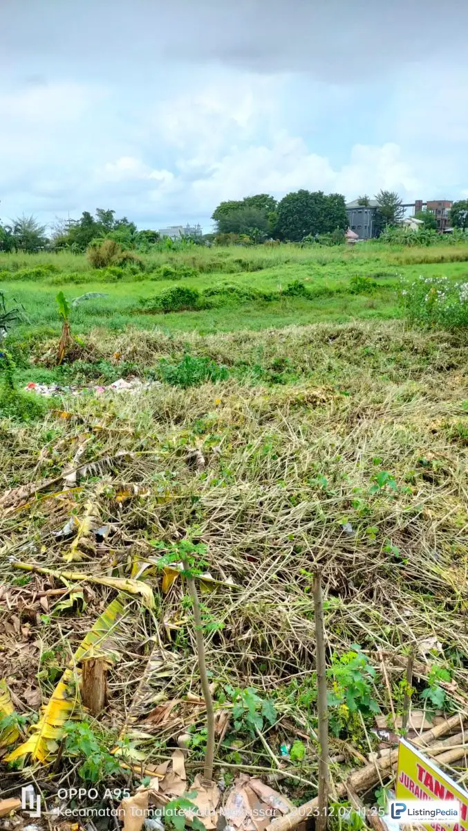 Lahan Tanah Kosong — foto 3