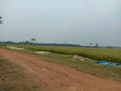 Tanah Cikande/serang* Akses 40feet/trcuk