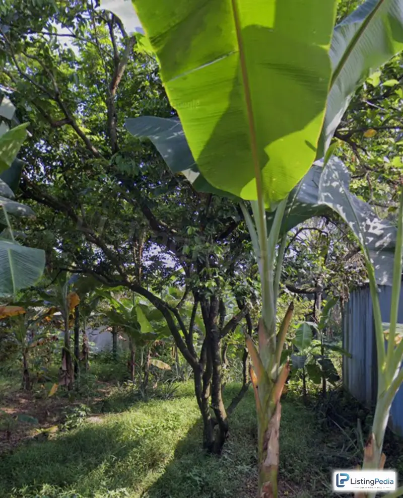 Jual Tanah Strategis di Cibinong Gunungsindur (Dekat BSD) — foto 1