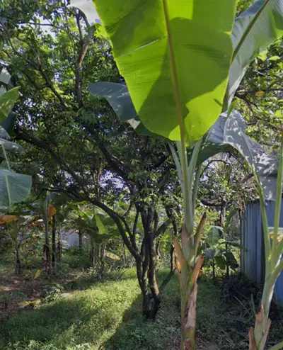 Jual Tanah Strategis di Cibinong Gunungsindur (Dekat BSD)